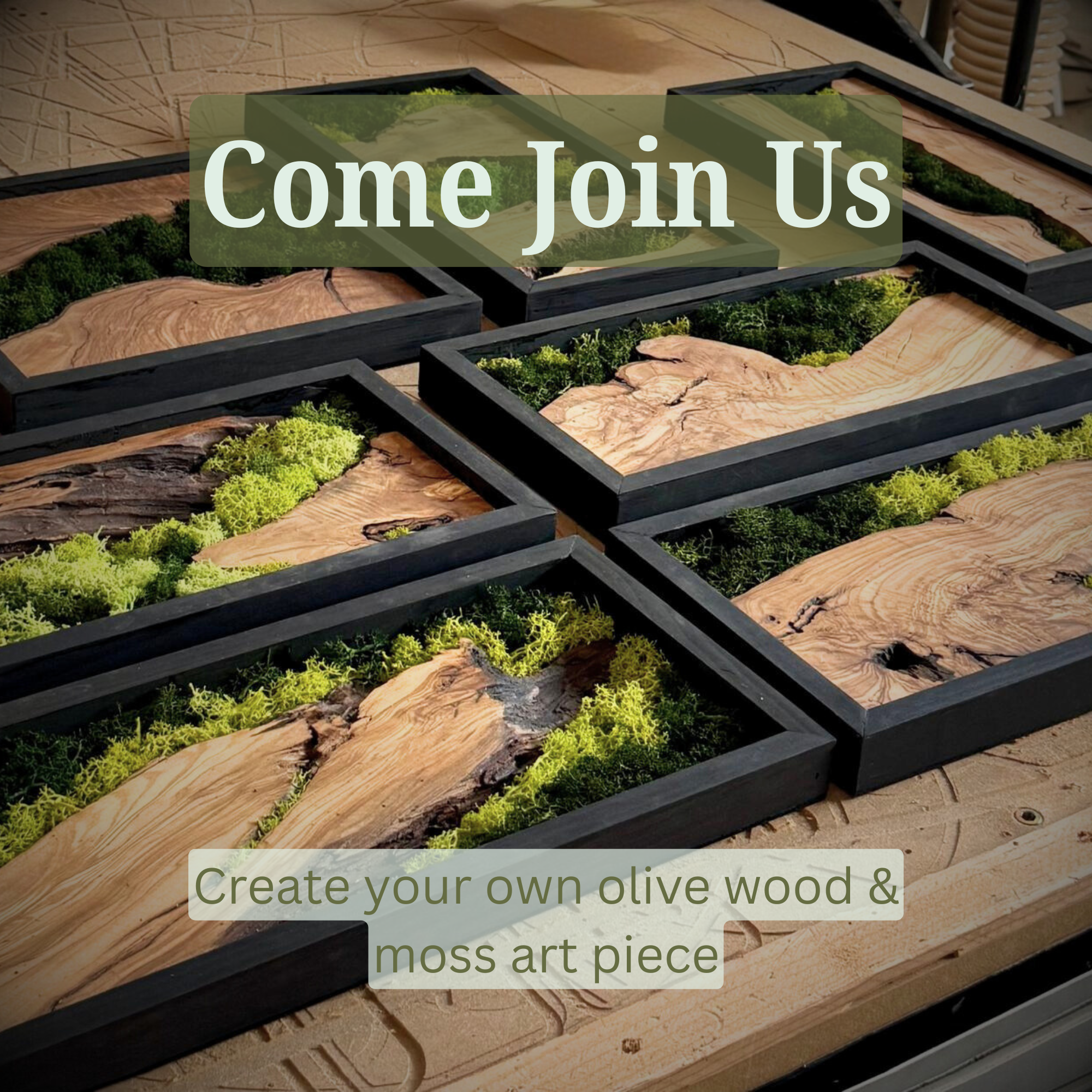 Olive wood and moss art pieces inviting viewers to join and create their own.